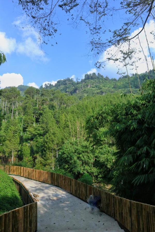 เดอะ ลอดจ์ มาริบายา Hotel Cikareumbi ภายนอก รูปภาพ